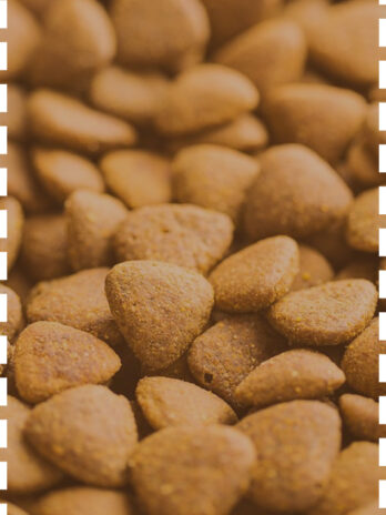 chicken adult medium puppy treats
