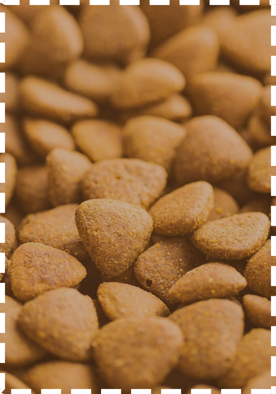 chicken adult medium puppy treats chicken adult medium puppy treats